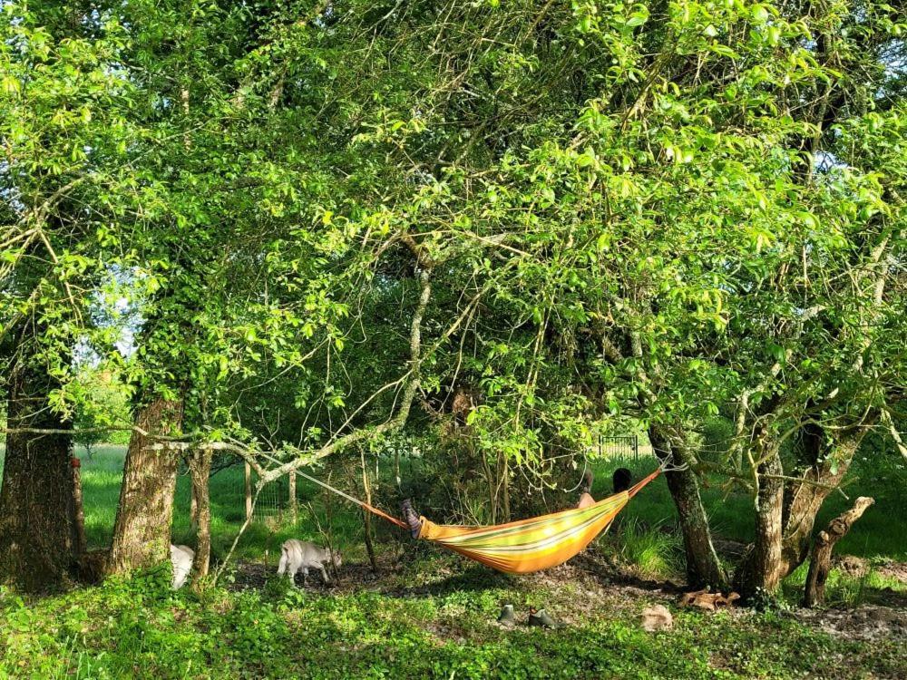 مبيت وإفطار Landévant Le Domaine Des Sources المظهر الخارجي الصورة